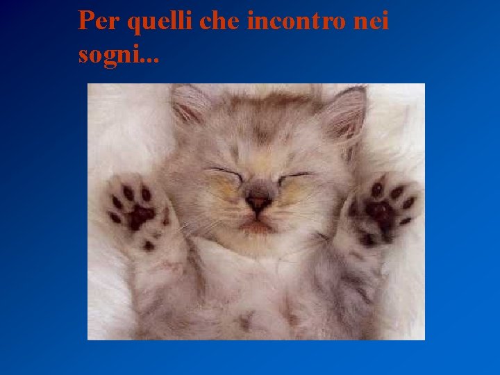 Per quelli che incontro nei sogni. . . 