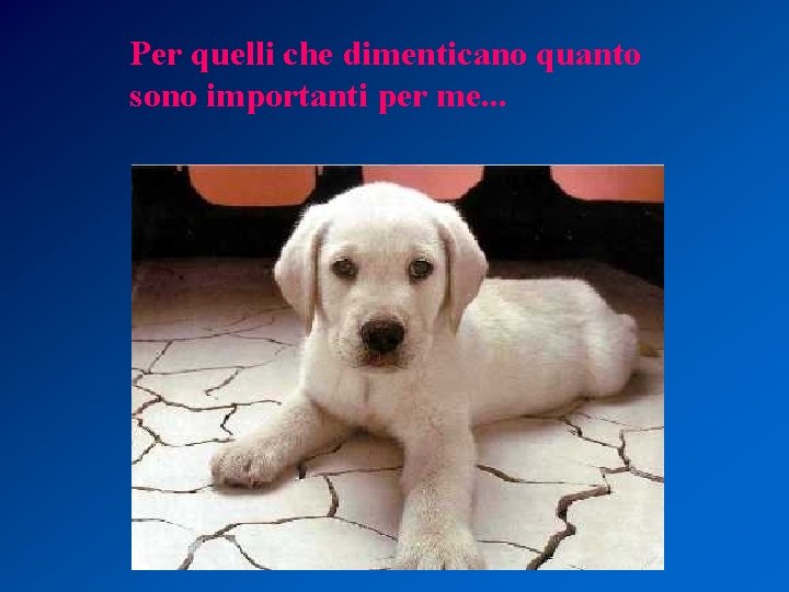 Per quelli che dimenticano quanto sono importanti per me. . . 