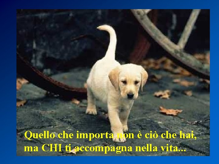 Quello che importa non è ciò che hai, ma CHI ti accompagna nella vita.