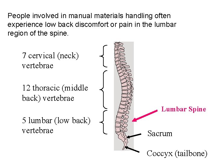 People involved in manual materials handling often experience low back discomfort or pain in