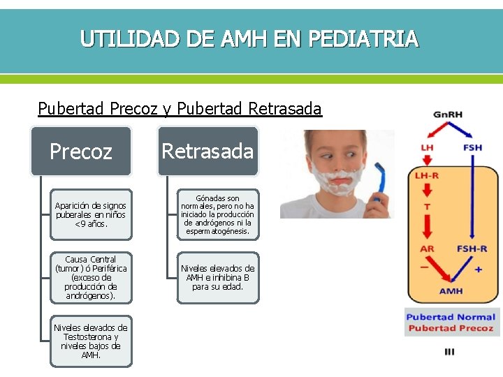 UTILIDAD DE AMH EN PEDIATRIA Pubertad Precoz y Pubertad Retrasada Precoz Retrasada Aparición de