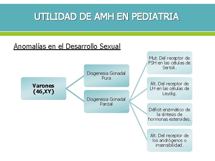 UTILIDAD DE AMH EN PEDIATRIA Anomalías en el Desarrollo Sexual Mut. Del receptor de