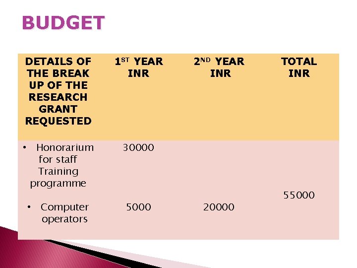BUDGET DETAILS OF THE BREAK UP OF THE RESEARCH GRANT REQUESTED 1 ST YEAR