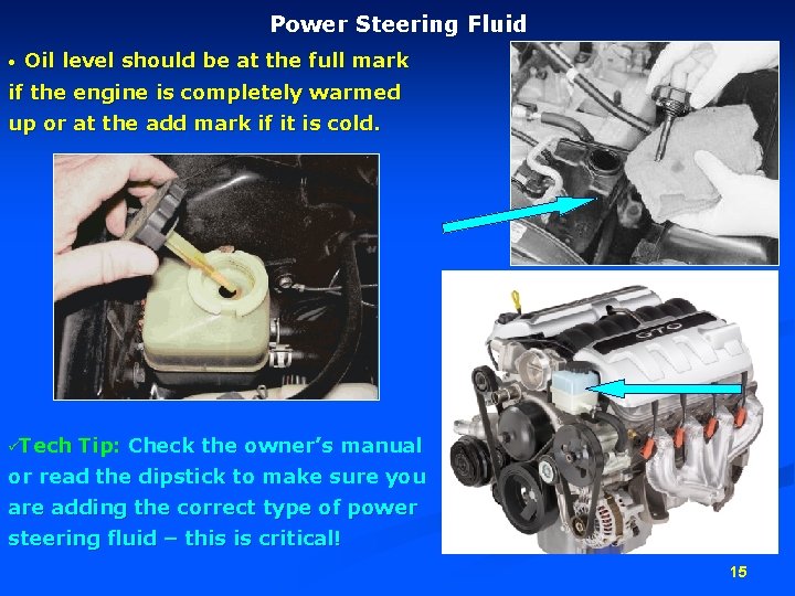 Power Steering Fluid • Oil level should be at the full mark if the