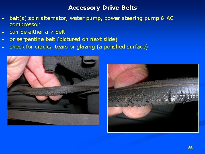 Accessory Drive Belts • • belt(s) spin alternator, water pump, power steering pump &