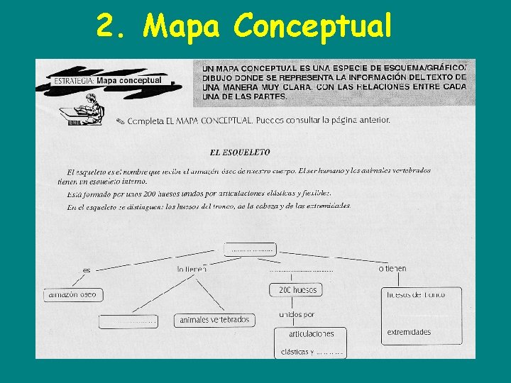 2. Mapa Conceptual 
