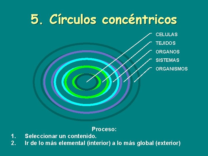 5. Círculos concéntricos CELULAS TEJIDOS ORGANOS SISTEMAS ORGANISMOS 1. 2. Proceso: Seleccionar un contenido.