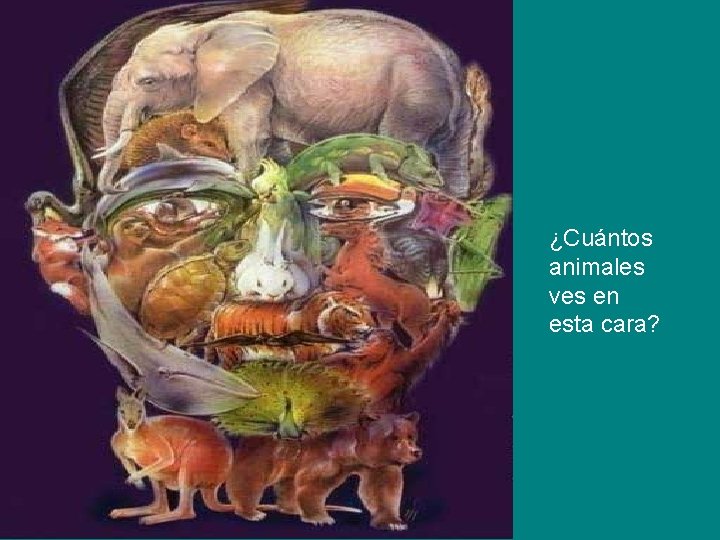 ¿Cuántos animales ves en esta cara? 