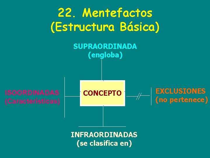 22. Mentefactos (Estructura Básica) SUPRAORDINADA (engloba) ISOORDINADAS (Características) CONCEPTO INFRAORDINADAS (se clasifica en) EXCLUSIONES