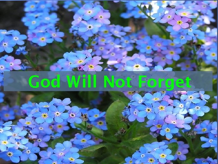 God Will Not Forget 