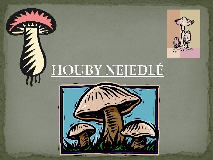 HOUBY NEJEDLÉ 