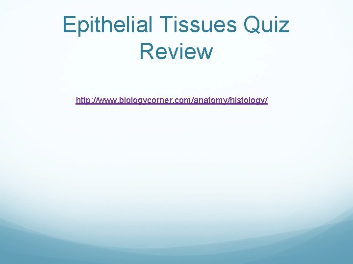Epithelial Tissues Quiz Review http: //www. biologycorner. com/anatomy/histology/ 
