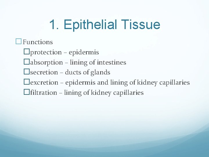 1. Epithelial Tissue �Functions �protection – epidermis �absorption – lining of intestines �secretion –