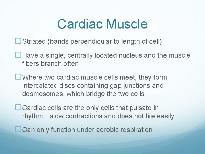 Cardiac Muscle �Striated (bands perpendicular to length of cell) �Have a single, centrally located