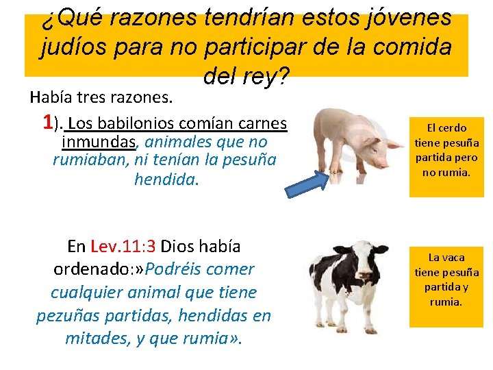 ¿Qué razones tendrían estos jóvenes judíos para no participar de la comida del rey?