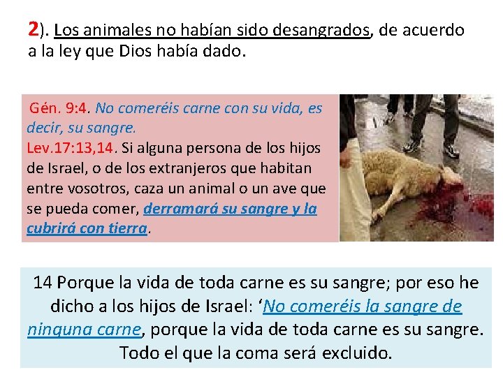 2). Los animales no habían sido desangrados, de acuerdo a la ley que Dios