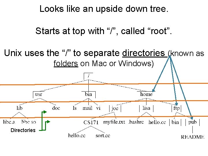 Looks like an upside down tree. Starts at top with “/”, called “root”. Unix Looks like an upside down tree. Starts at top with “/”, called “root”. Unix