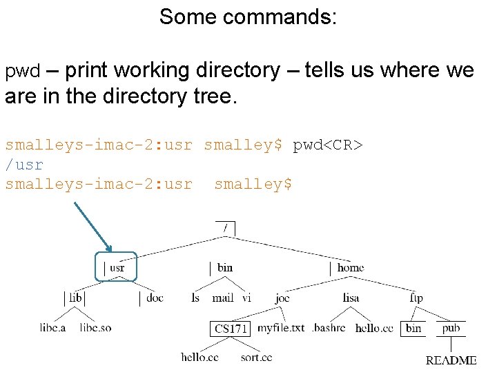 Some commands: pwd – print working directory – tells us where we are in