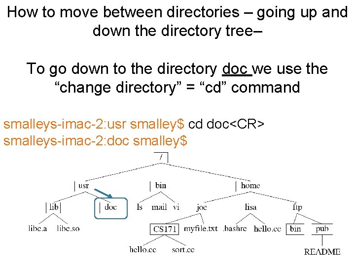 How to move between directories – going up and down the directory tree– To