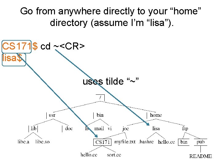 Go from anywhere directly to your “home” directory (assume I’m “lisa”). CS 171$ cd