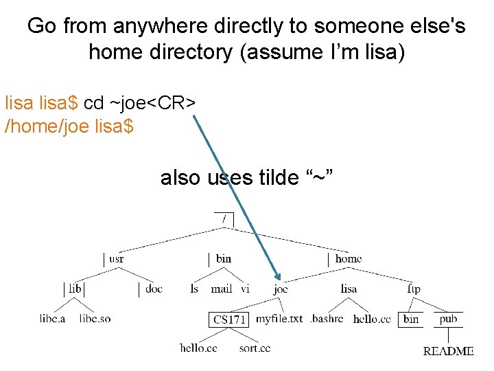 Go from anywhere directly to someone else's home directory (assume I’m lisa) lisa$ cd