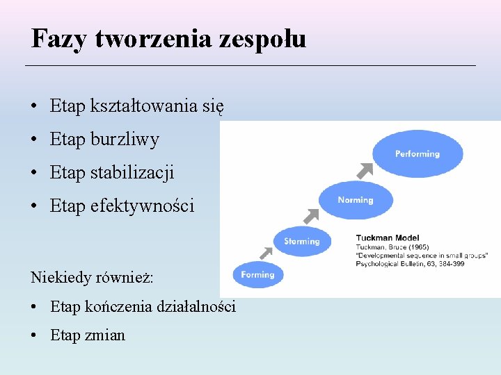 Fazy tworzenia zespołu • Etap kształtowania się • Etap burzliwy • Etap stabilizacji •