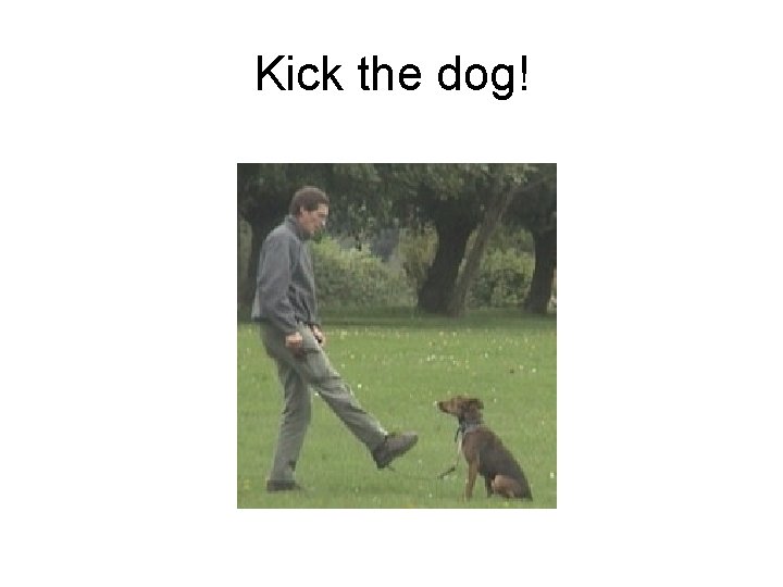 Kick the dog! 