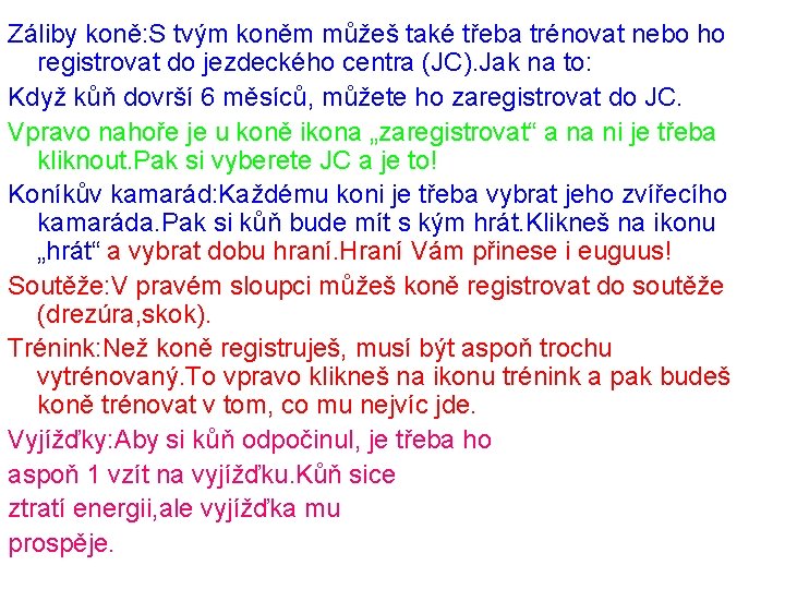 Záliby koně: S tvým koněm můžeš také třeba trénovat nebo ho registrovat do jezdeckého