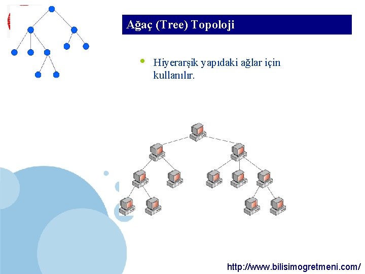SDÜ Ağaç (Tree) Topoloji KMYO • Hiyerarşik yapıdaki ağlar için kullanılır. http: //www. bilisimogretmeni. SDÜ Ağaç (Tree) Topoloji KMYO • Hiyerarşik yapıdaki ağlar için kullanılır. http: //www. bilisimogretmeni.