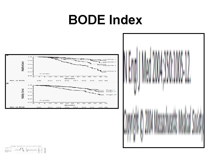 BODE Index 