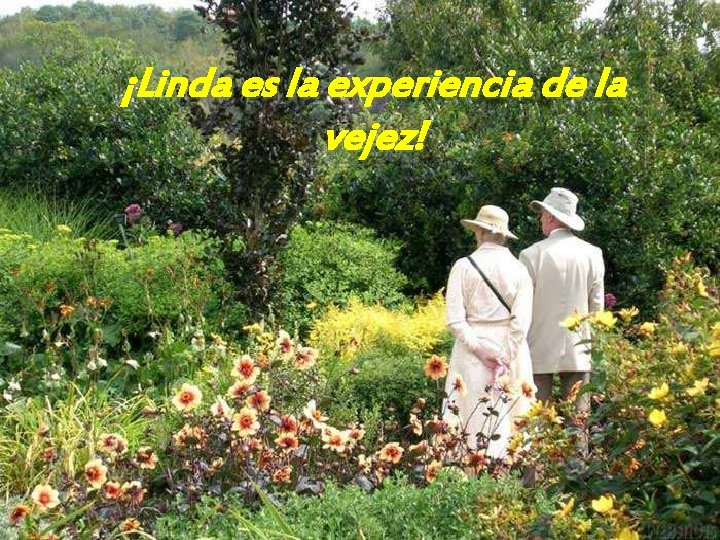 ¡Linda es la experiencia de la vejez! 