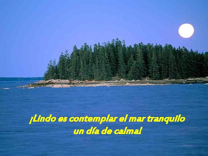 ¡Lindo es contemplar el mar tranquilo un día de calma! 