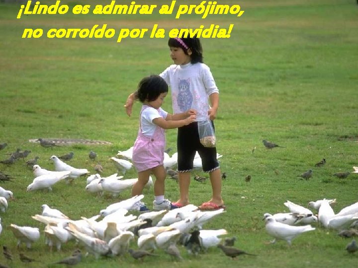 ¡Lindo es admirar al prójimo, no corroído por la envidia! 