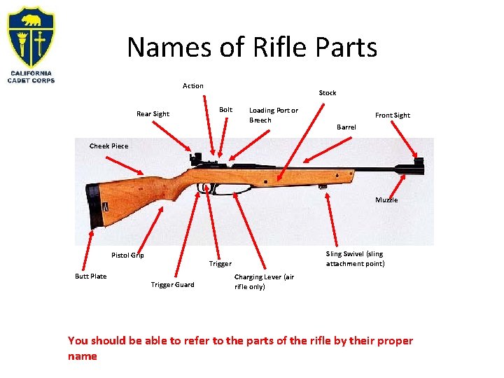 Names of Rifle Parts Action Rear Sight Stock Bolt Loading Port or Breech Front