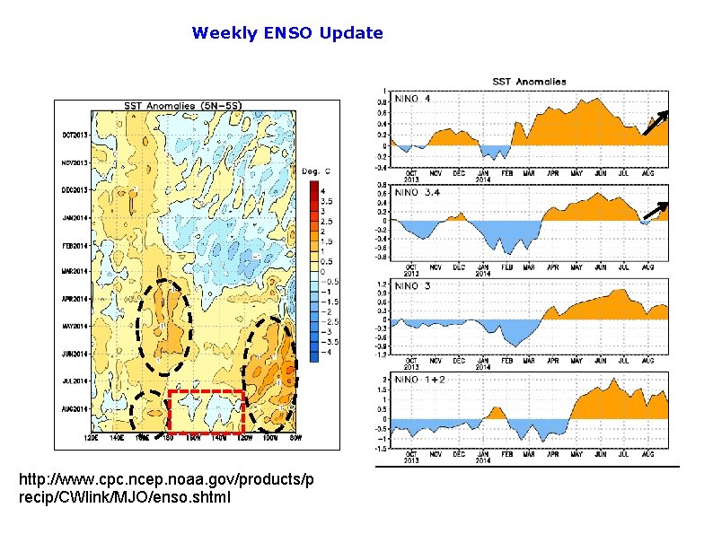 Weekly ENSO Update http: //www. cpc. ncep. noaa. gov/products/p recip/CWlink/MJO/enso. shtml 