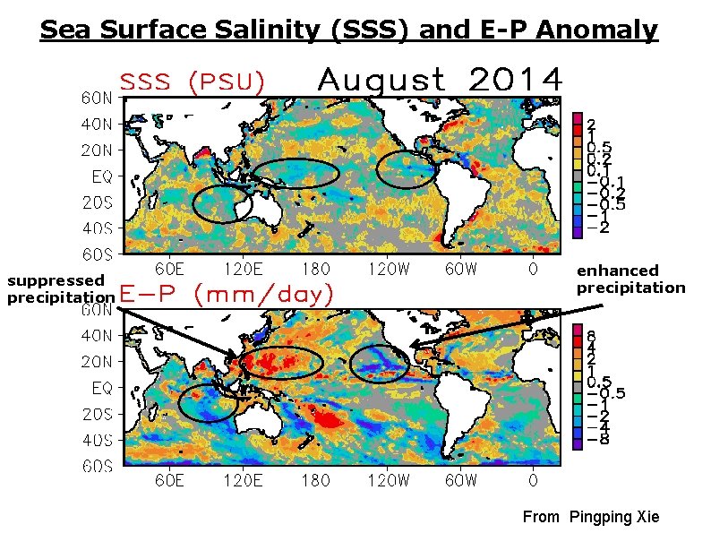 Sea Surface Salinity (SSS) and E-P Anomaly suppressed precipitation enhanced precipitation From Pingping Xie