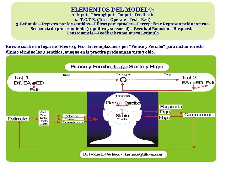 ELEMENTOS DEL MODELO: 1. Input—Throughput—Output—Feedback 2. T. O. T. E. (Test—Operate—Test—Exit) 3. Estímulo---Registro por