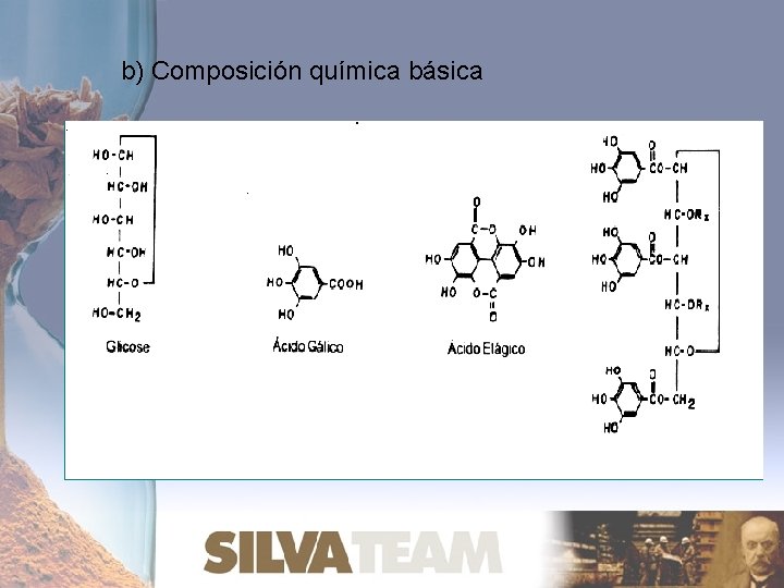 b) Composición química básica 
