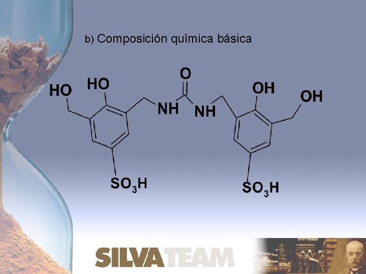 b) Composición química básica 