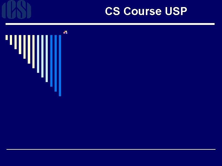 CS Course USP 