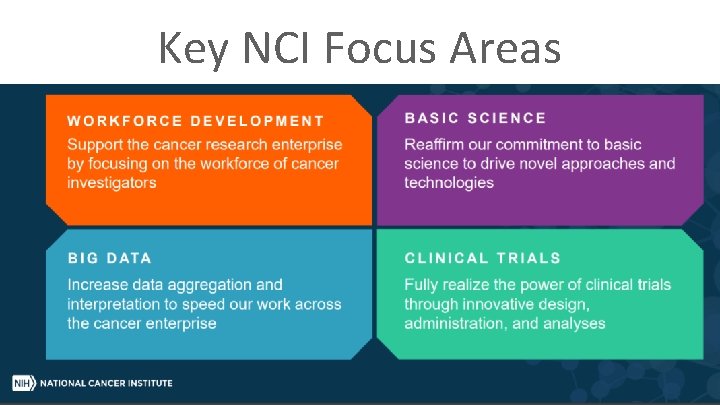 Key NCI Focus Areas 