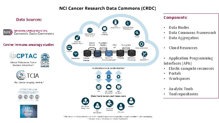 Components: Data Sources: • Data Nodes • Data Commons Framework • Data Aggregators Canine