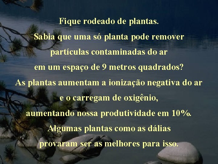 Fique rodeado de plantas. Sabia que uma só planta pode remover partículas contaminadas do