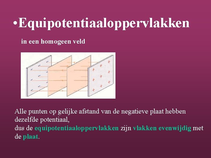  • Equipotentiaaloppervlakken in een homogeen veld Alle punten op gelijke afstand van de