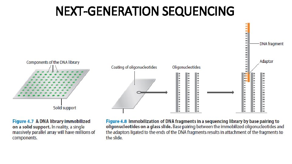 NEXT-GENERATION SEQUENCING 