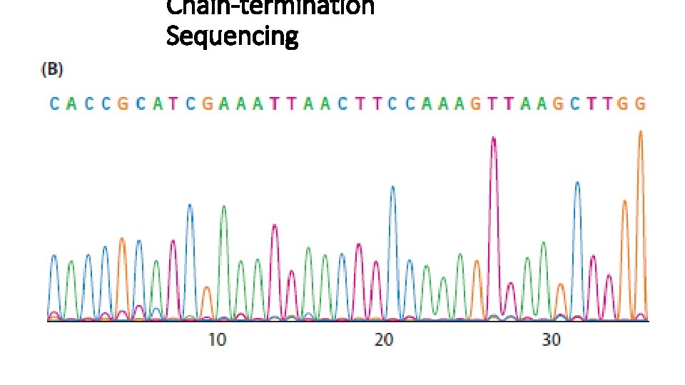 Chain-termination Sequencing 