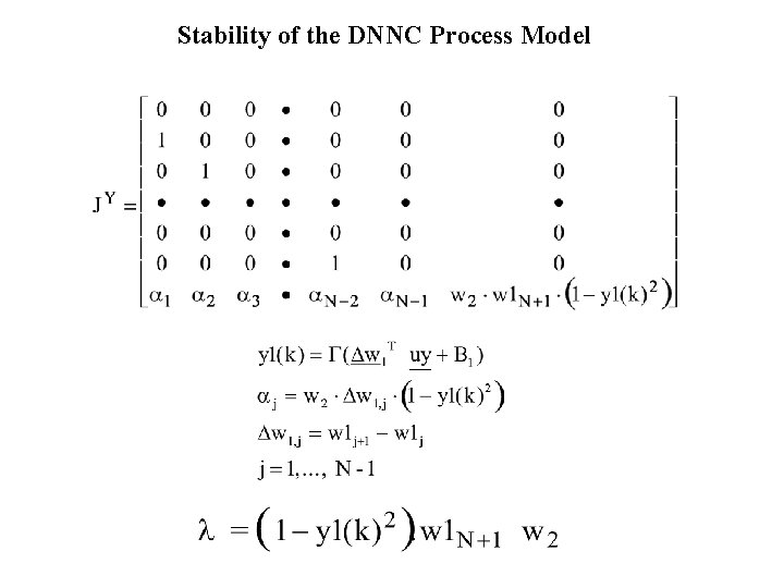 Stability of the DNNC Process Model 