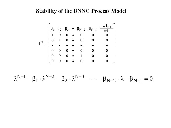 Stability of the DNNC Process Model 