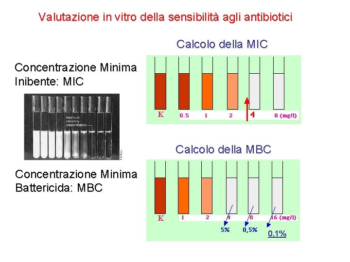 Valutazione in vitro della sensibilità agli antibiotici Calcolo della MIC Concentrazione Minima Inibente: MIC Valutazione in vitro della sensibilità agli antibiotici Calcolo della MIC Concentrazione Minima Inibente: MIC