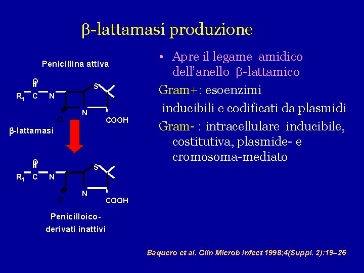 -lattamasi produzione Penicillina attiva O R 1 C S N O N COOH -lattamasi produzione Penicillina attiva O R 1 C S N O N COOH